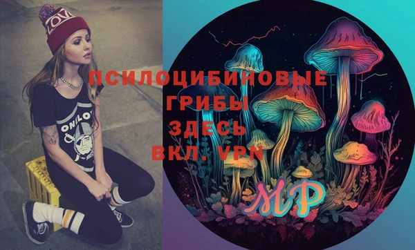 дживик Алексеевка