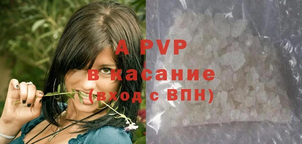 шишки Алексин